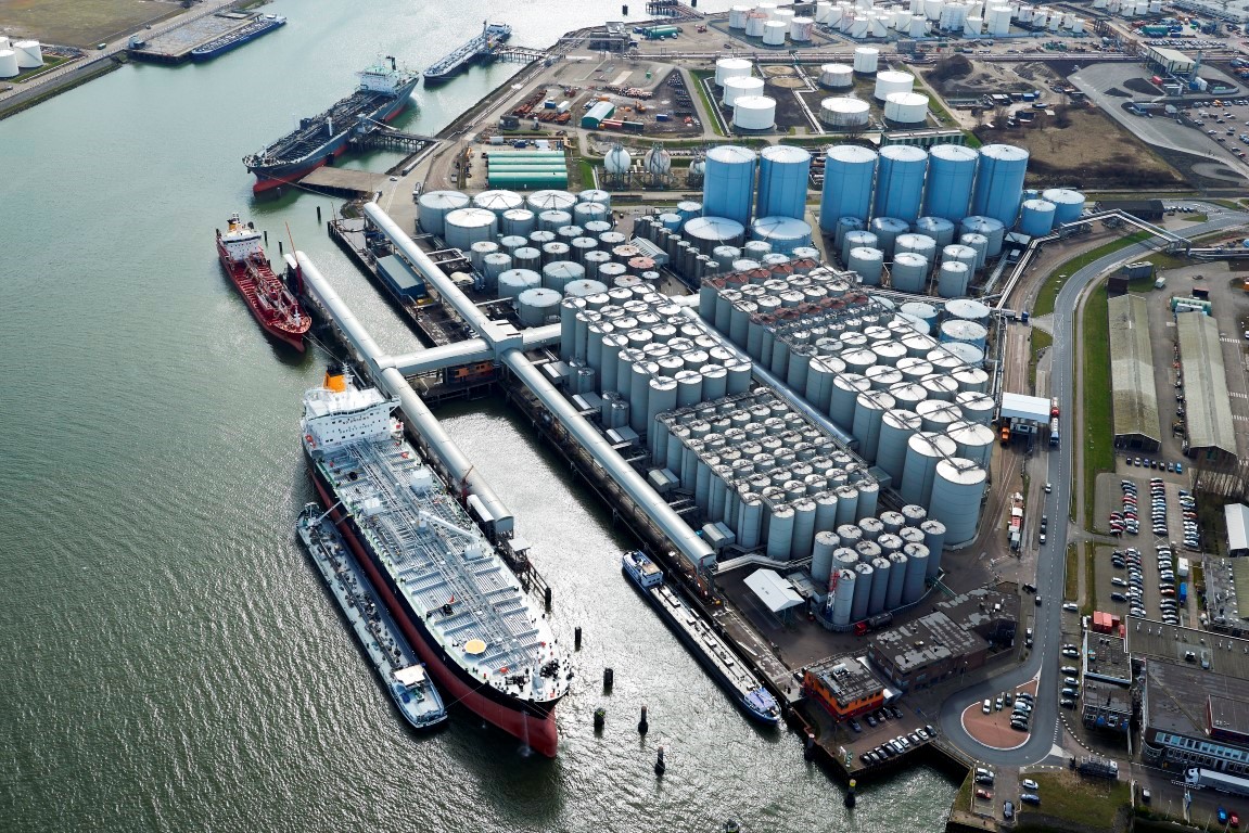 Diverse and Inclusive Workplace